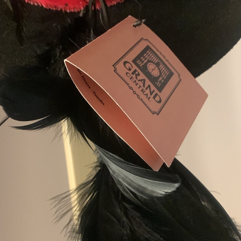Free people fairy feather tale felt  grand central hat co new with tags - Picture 8 of 15